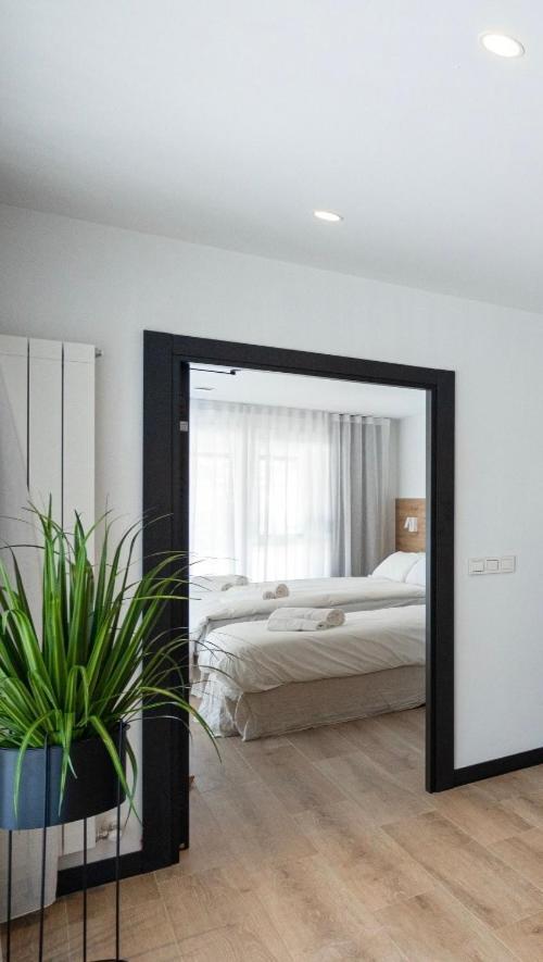 Donostia Rooms San Sebastián Exteriör bild